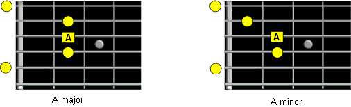 A form root notes