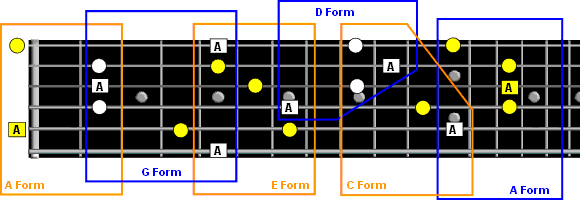 major chord forms